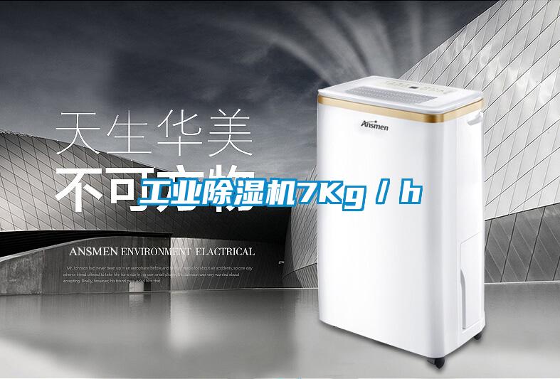 工業(yè)除濕機(jī)7Kg/h