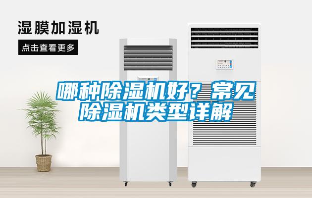 哪種除濕機好?常見除濕機類型詳解