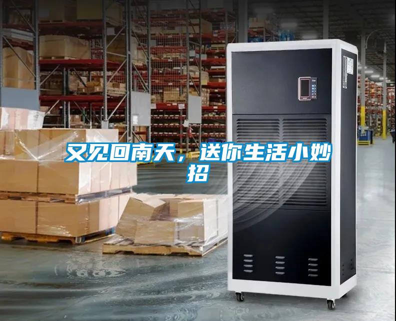 又見回南天,送你生活小妙招