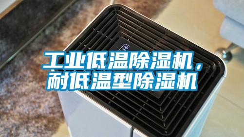 工業低溫除濕機,耐低溫型除濕機