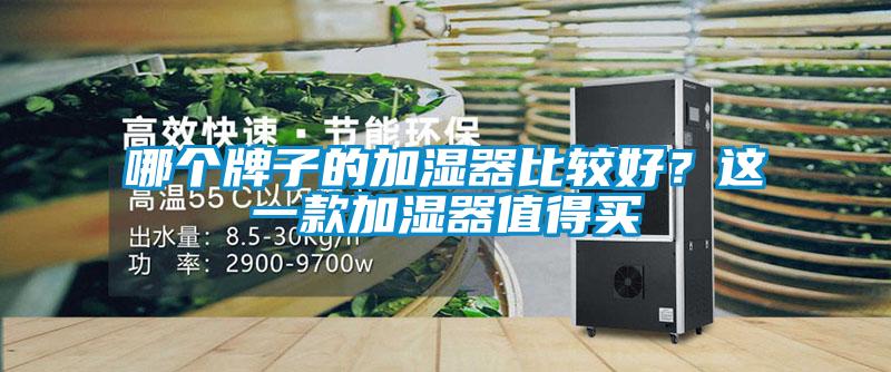 哪個牌子的加濕器比較好？這一款加濕器值得買