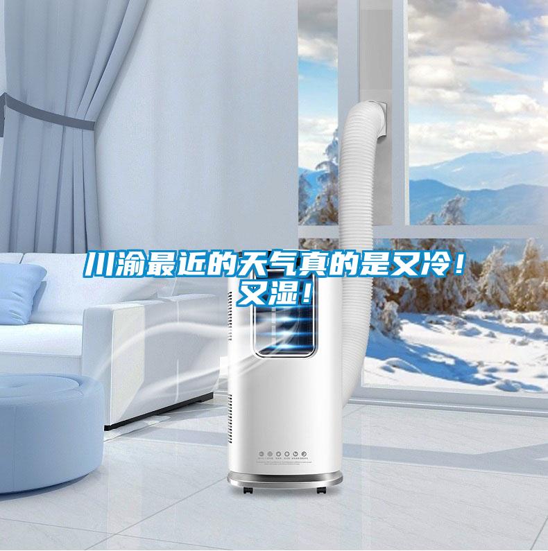 川渝最近的天氣真的是又冷！又濕！