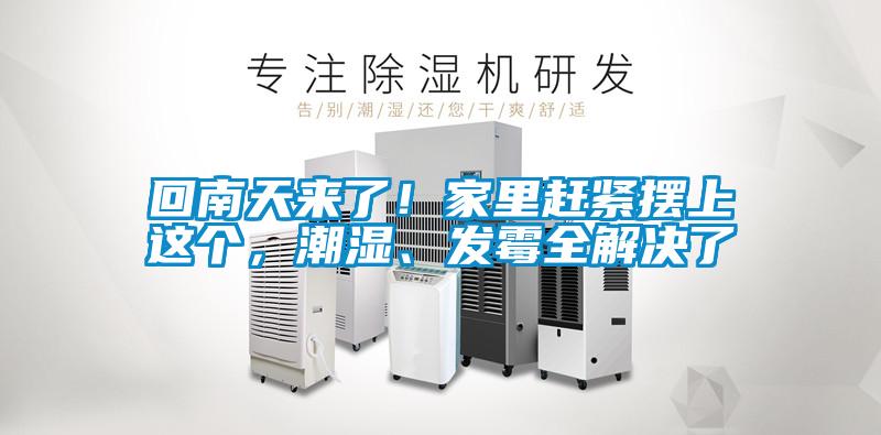 回南天來了!家里趕緊擺上這個,潮濕、發(fā)霉全解決了