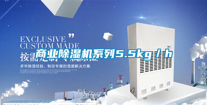 商業(yè)除濕機系列5.5kg/h