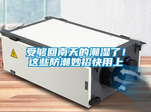 受夠回南天的潮濕了!這些防潮妙招快用上