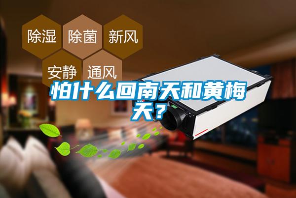 怕什么回南天和黃梅天?