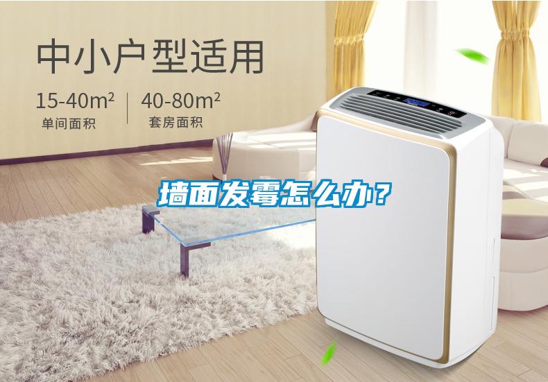 墻面發(fā)霉怎么辦?