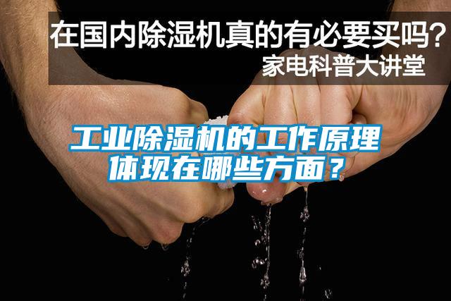 工業(yè)除濕機(jī)的工作原理體現(xiàn)在哪些方面?