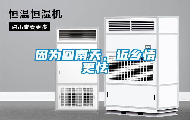 因為回南天,近鄉情更怯