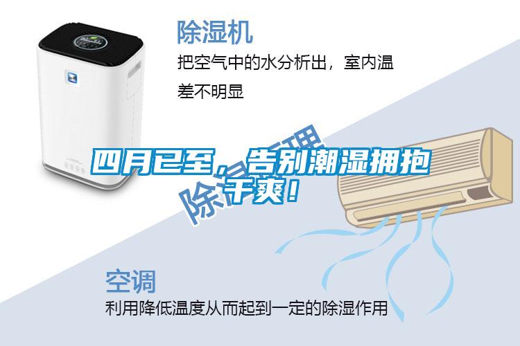 四月已至,告別潮濕擁抱干爽!