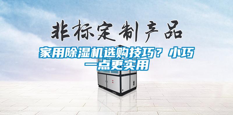 家用除濕機(jī)選購(gòu)技巧？小巧一點(diǎn)更實(shí)用