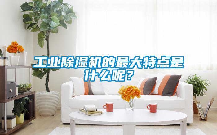 工業除濕機的最大特點是什么呢?