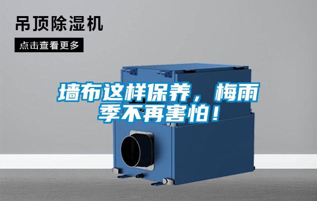 墻布這樣保養,梅雨季不再害怕!