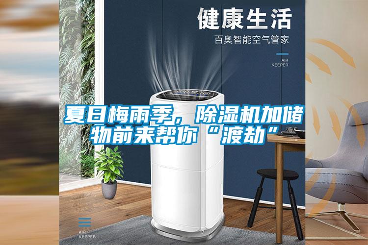 夏日梅雨季,除濕機加儲物前來幫你“渡劫”