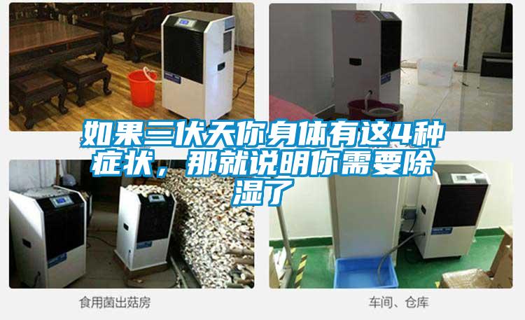 如果三伏天你身體有這4種癥狀,那就說明你需要除濕了
