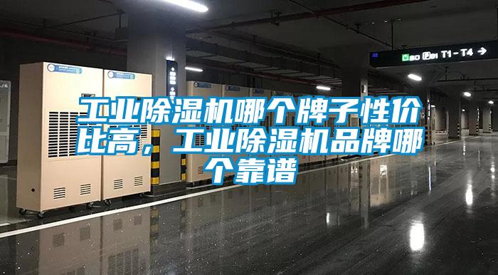 工業除濕機哪個牌子性價比高,工業除濕機品牌哪個靠譜