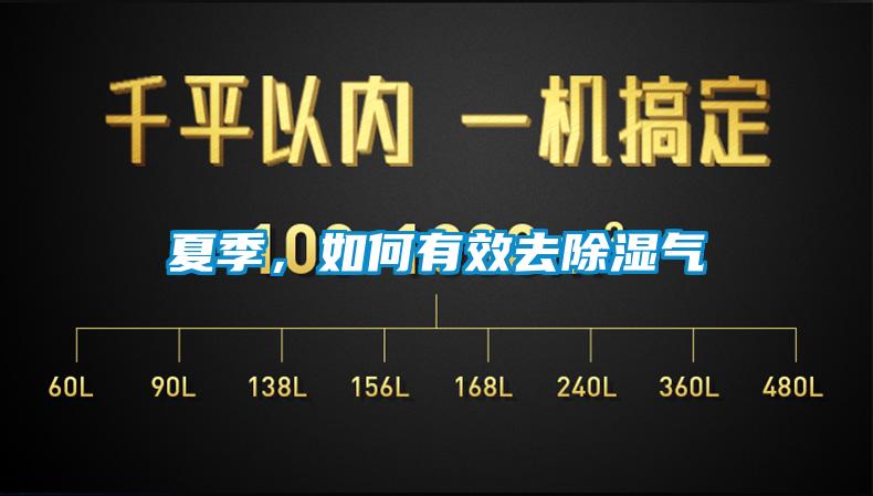 夏季,如何有效去除濕氣