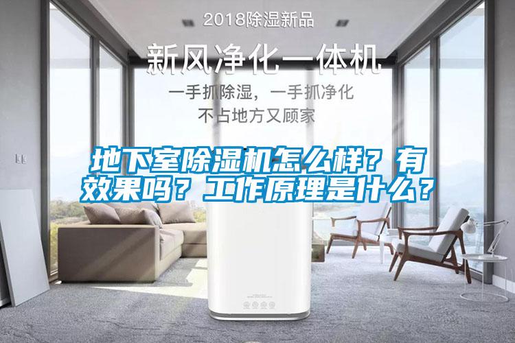地下室除濕機怎么樣?有效果嗎?工作原理是什么?
