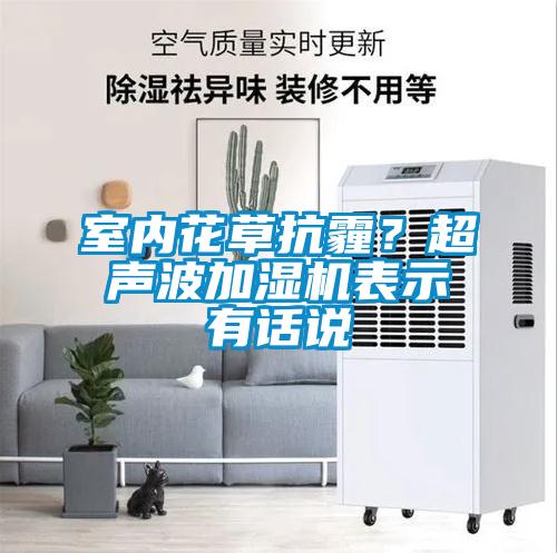 室內花草抗霾?超聲波加濕機表示有話說