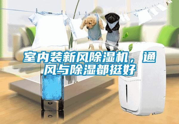 室內裝新風除濕機,通風與除濕都挺好