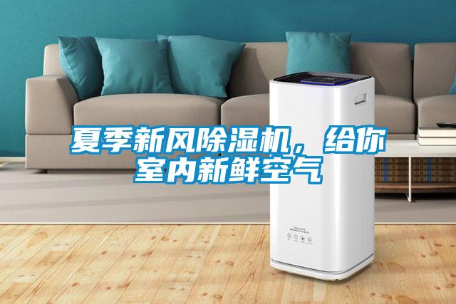 夏季新風除濕機,給你室內新鮮空氣
