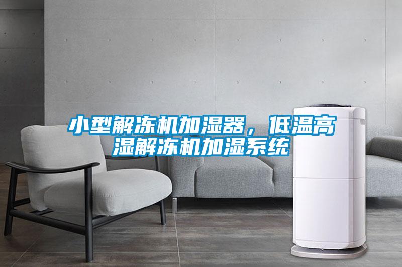 小型解凍機加濕器,低溫高濕解凍機加濕系統(tǒng)