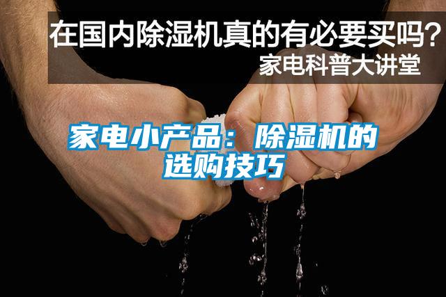 家電小產(chǎn)品:除濕機(jī)的選購技巧
