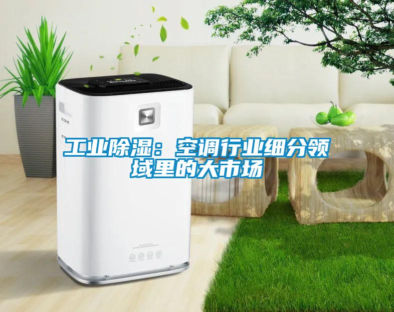 工業(yè)除濕:空調(diào)行業(yè)細(xì)分領(lǐng)域里的大市場