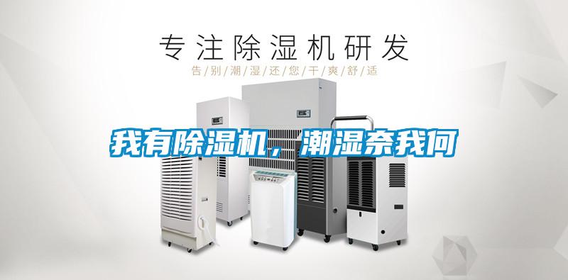 我有除濕機(jī),潮濕奈我何