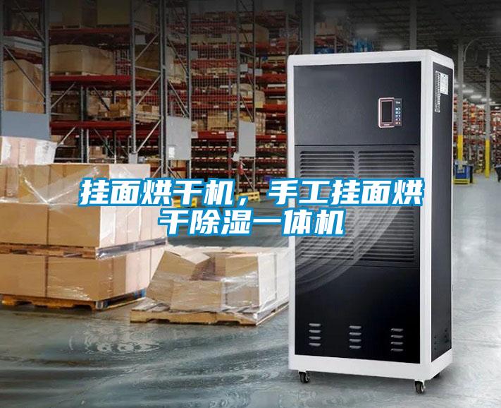 掛面烘干機,手工掛面烘干除濕一體機