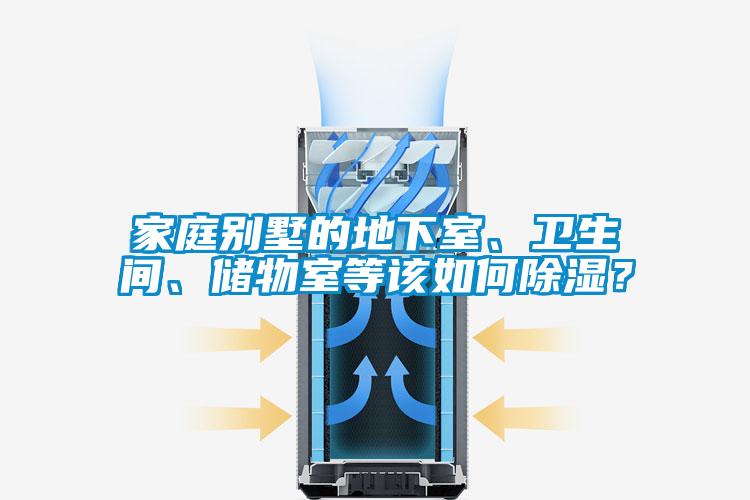 家庭別墅的地下室、衛生間、儲物室等該如何除濕？