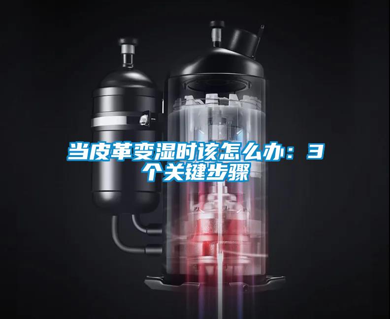 當皮革變濕時該怎么辦:3個關鍵步驟