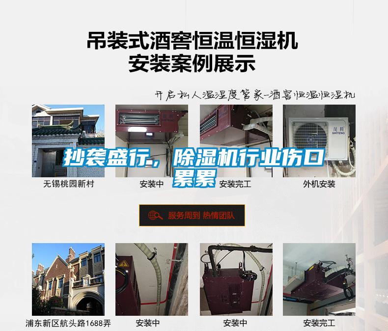 抄襲盛行,除濕機(jī)行業(yè)傷口累累