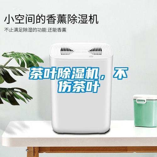 茶葉除濕機,不傷茶葉