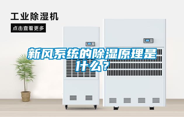 新風(fēng)系統(tǒng)的除濕原理是什么?
