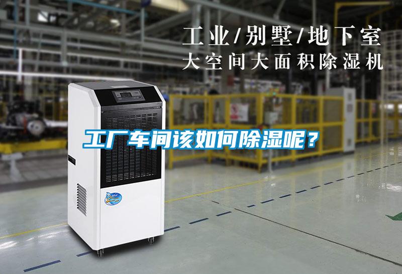工廠車間該如何除濕呢?