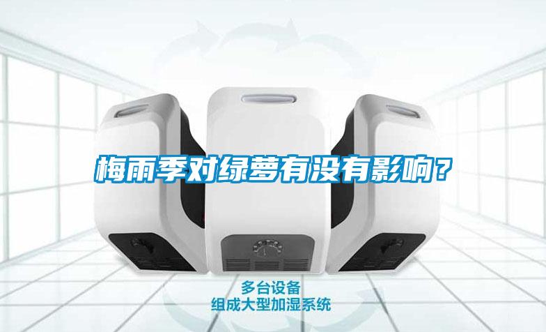 梅雨季對(duì)綠蘿有沒(méi)有影響?