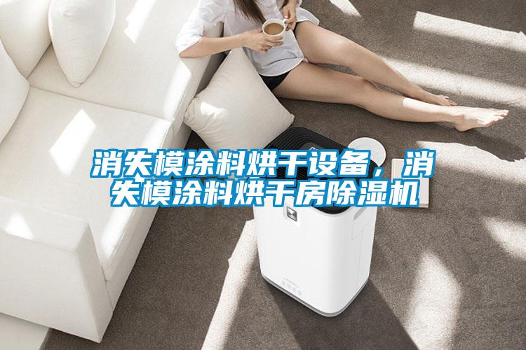 消失模涂料烘干設備,消失模涂料烘干房除濕機