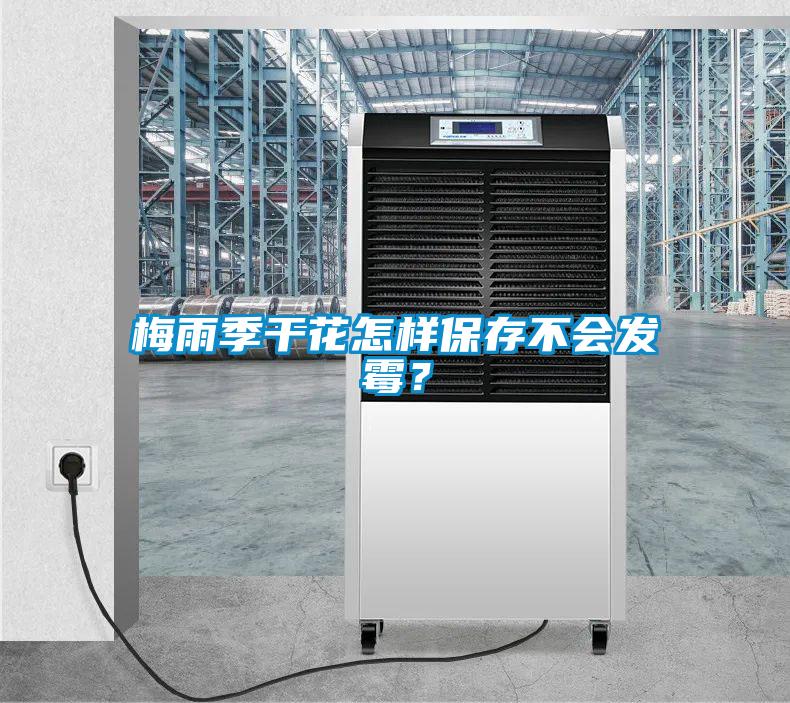 梅雨季干花怎樣保存不會發霉?