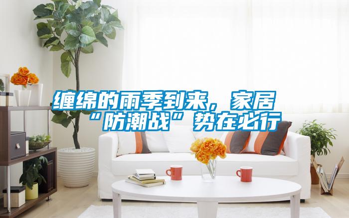 纏綿的雨季到來,家居“防潮戰(zhàn)”勢在必行