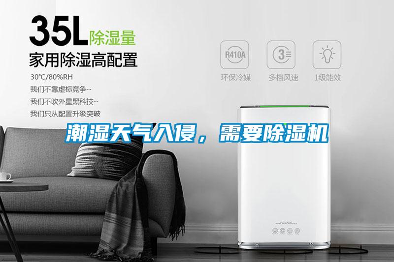 潮濕天氣入侵,需要除濕機