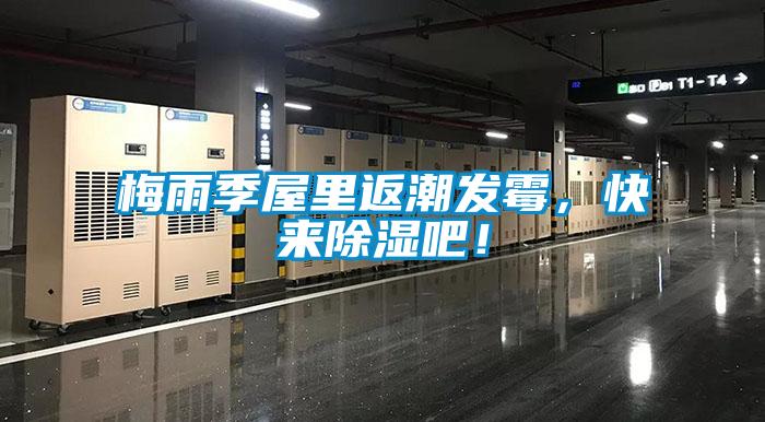 梅雨季屋里返潮發霉,快來除濕吧!