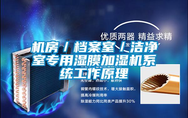 機房/檔案室/潔凈室專用濕膜加濕機系統工作原理