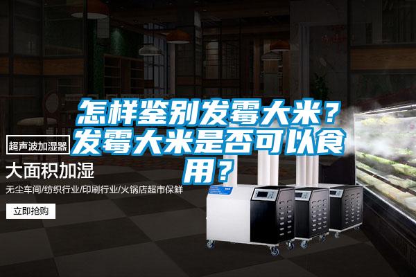 怎樣鑒別發霉大米?發霉大米是否可以食用?