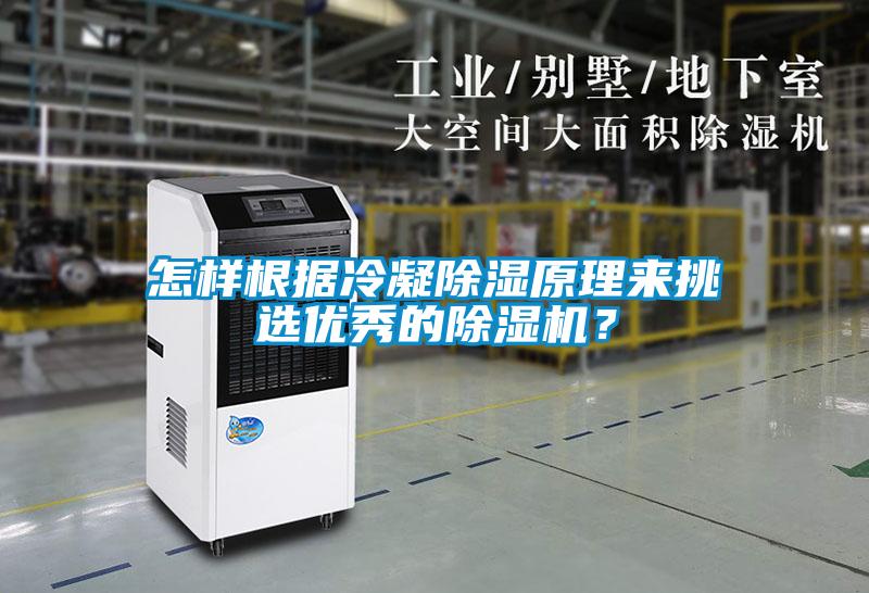 怎樣根據冷凝除濕原理來挑選優秀的除濕機?