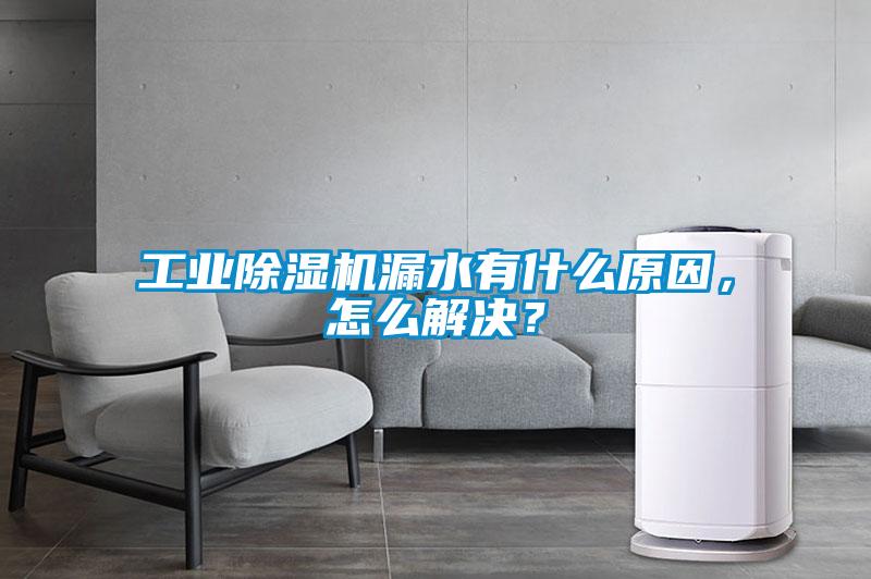 工業(yè)除濕機(jī)漏水有什么原因,怎么解決?