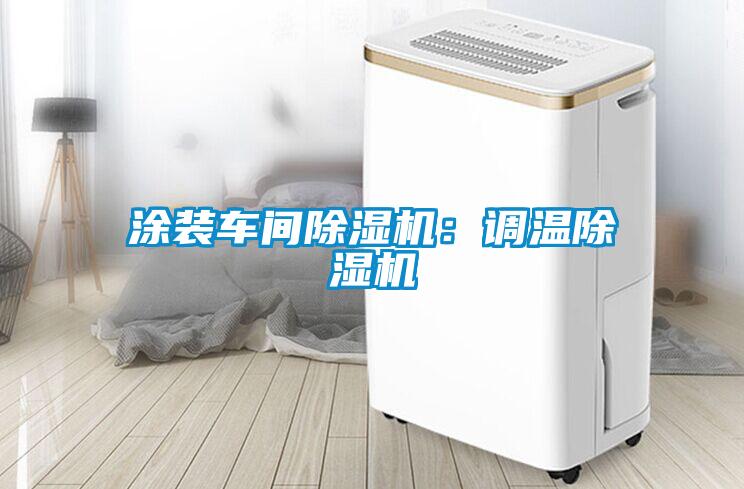 涂裝車間除濕機:調溫除濕機