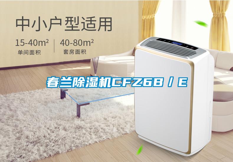 春蘭除濕機CFZ6B/E