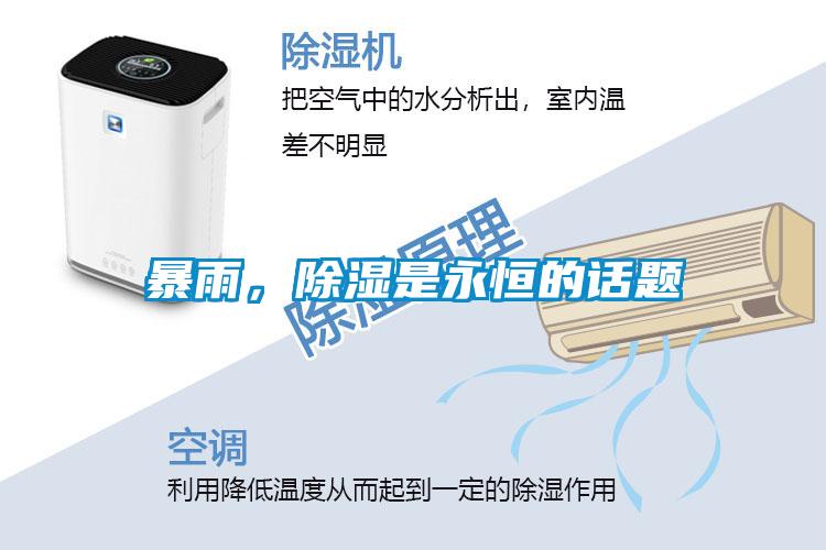 暴雨，除濕是永恒的話題