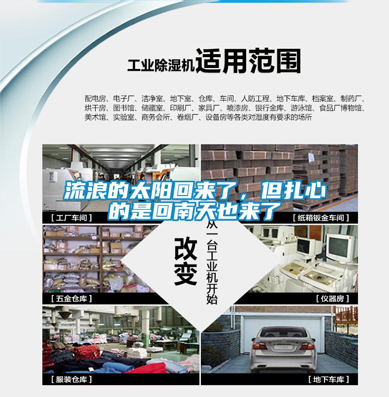 流浪的太陽回來了,但扎心的是回南天也來了